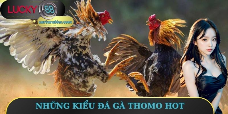 Những kiểu đá gà Thomo hot