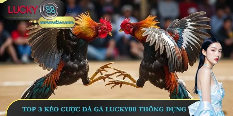 Top 3 kèo cược đá gà Lucky88 thông dụng
